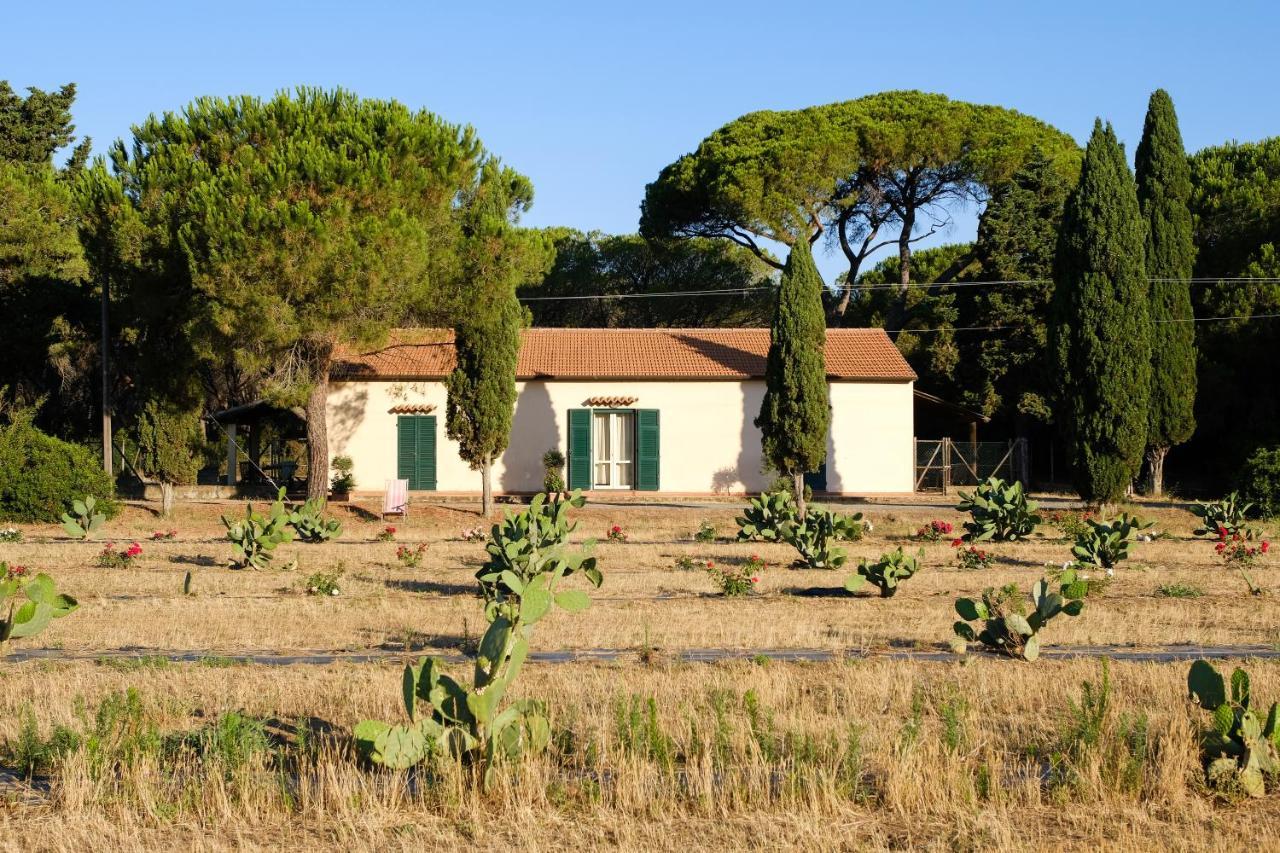 Residence La Canova II Grosseto Exteriér fotografie