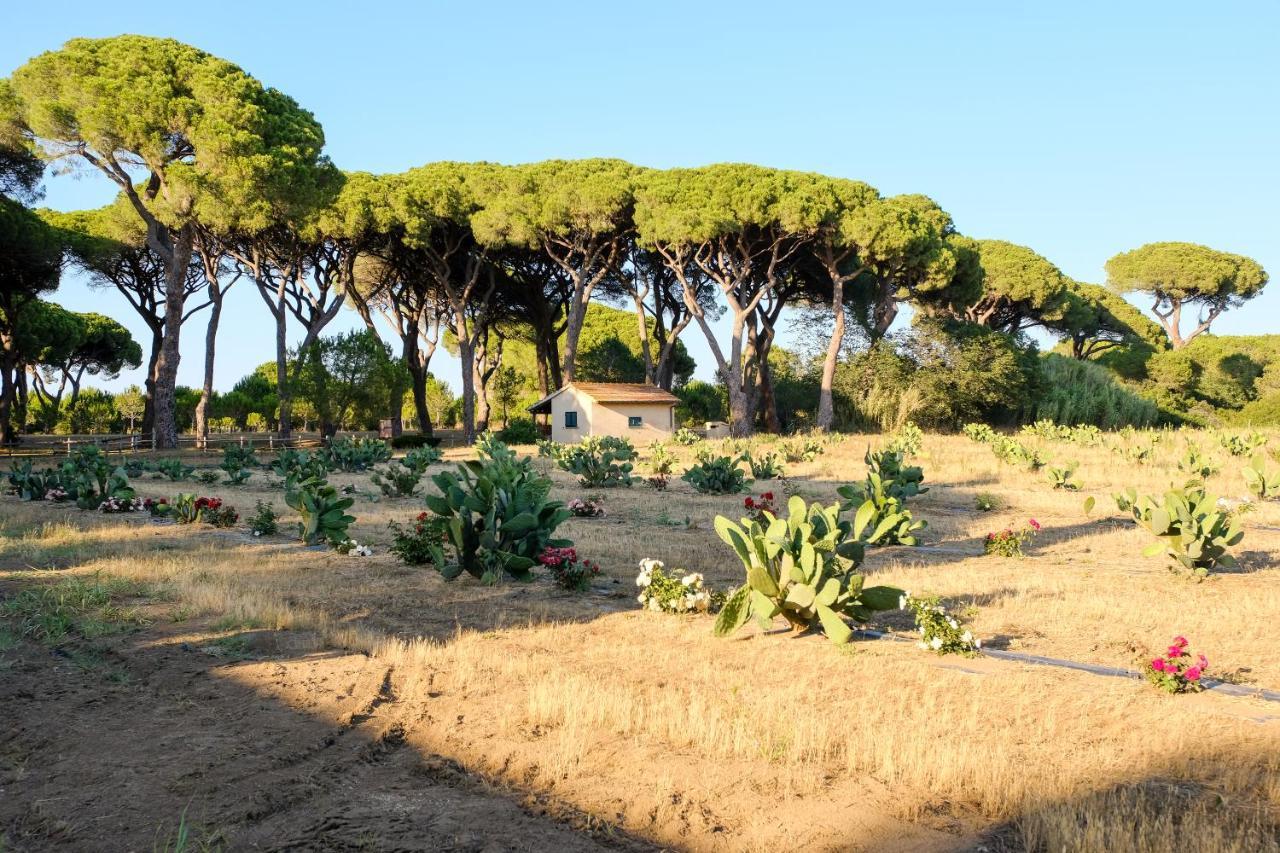 Residence La Canova II Grosseto Exteriér fotografie