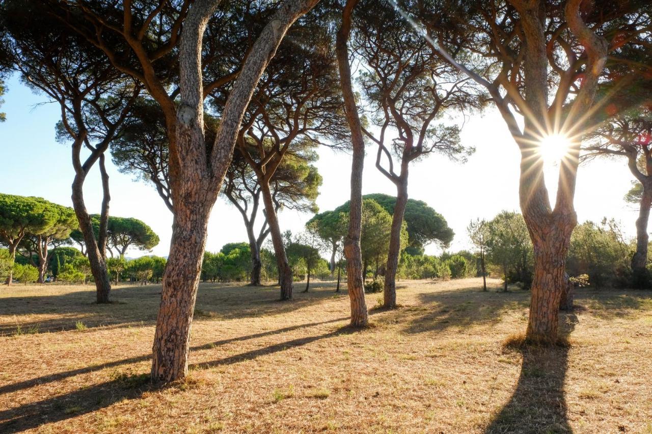 Residence La Canova II Grosseto Exteriér fotografie