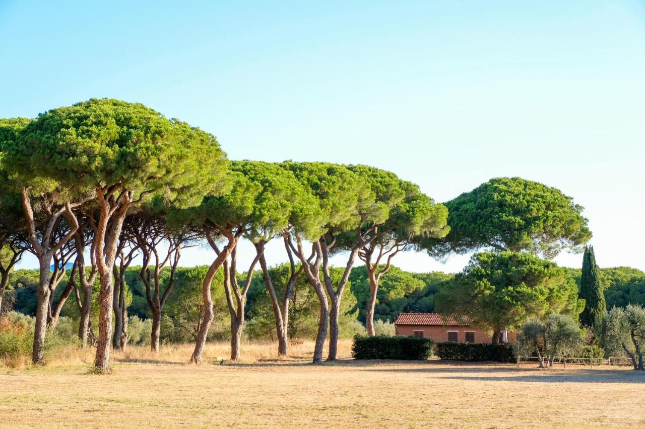 Residence La Canova II Grosseto Exteriér fotografie