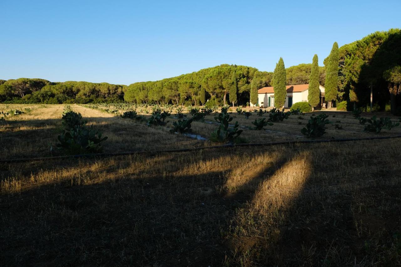 Residence La Canova II Grosseto Exteriér fotografie