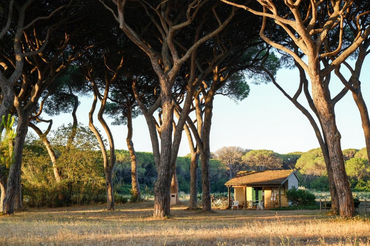 Residence La Canova II Grosseto Exteriér fotografie