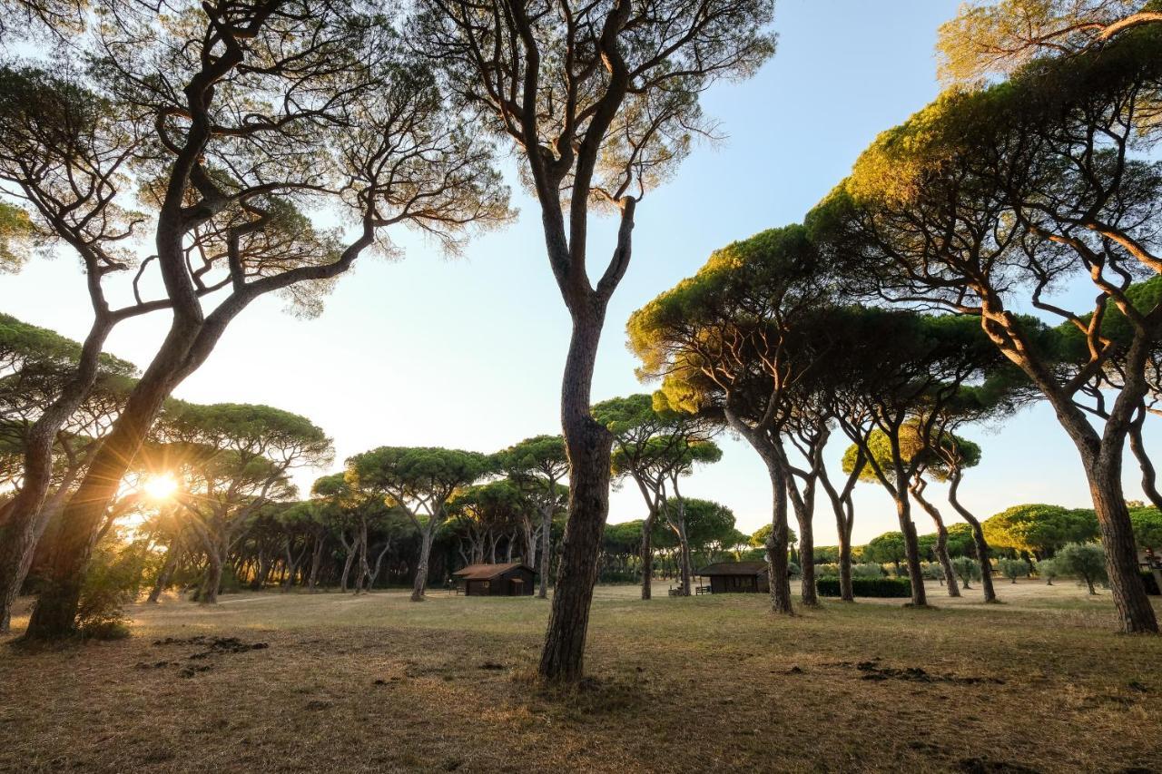Residence La Canova II Grosseto Exteriér fotografie