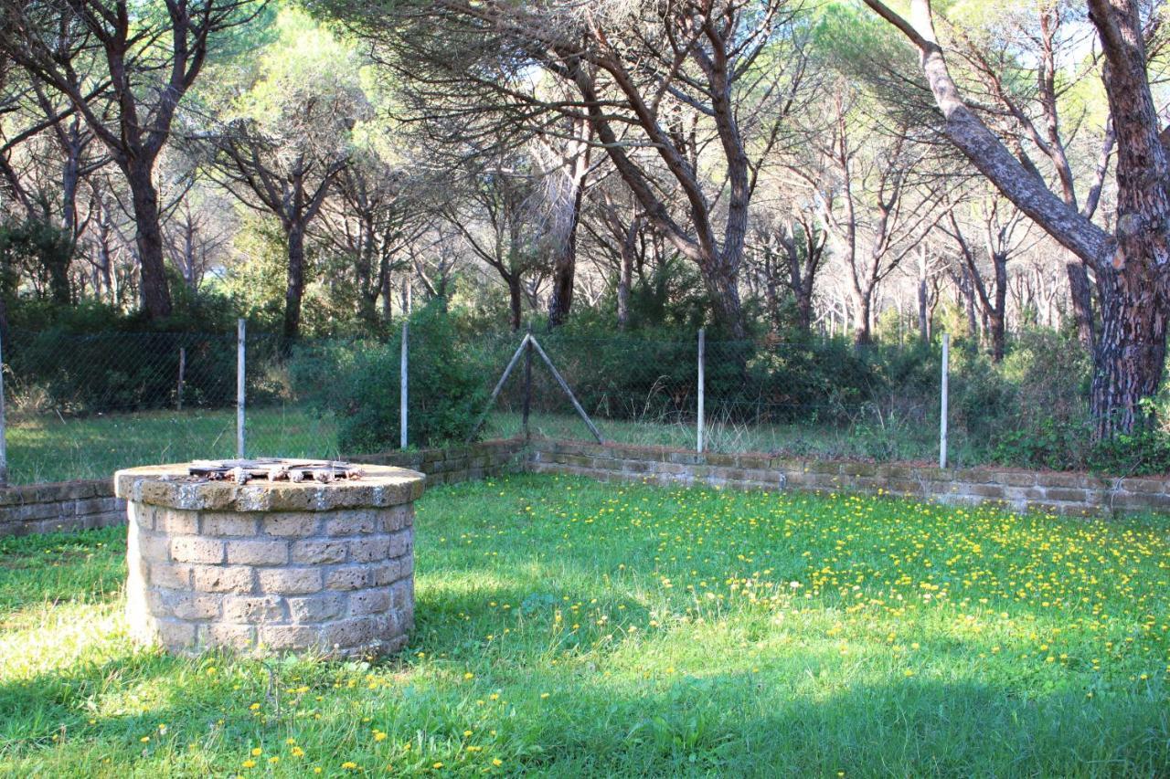 Residence La Canova II Grosseto Exteriér fotografie