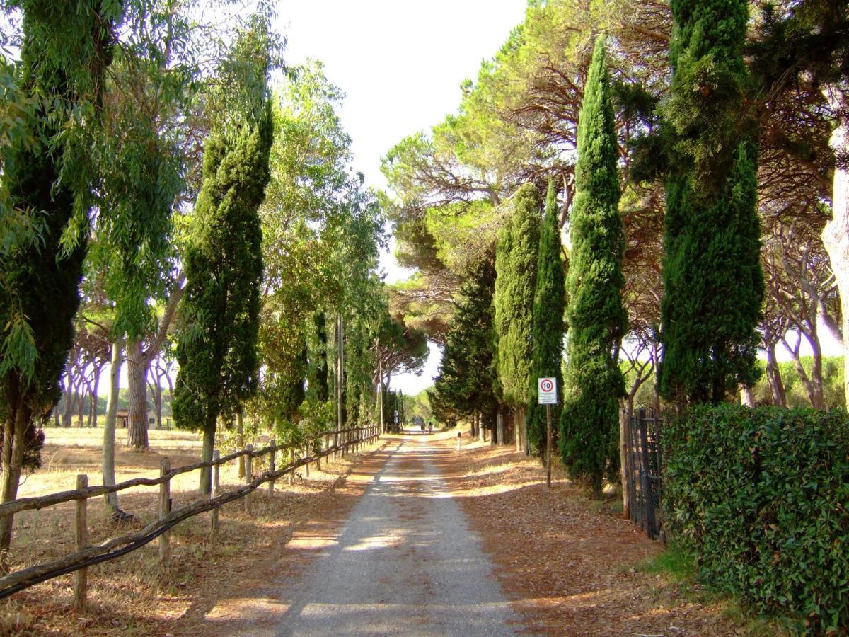 Residence La Canova II Grosseto Exteriér fotografie